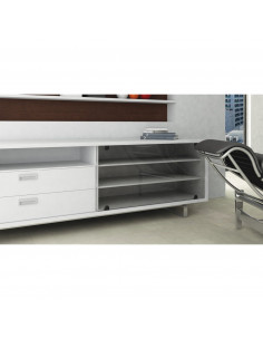 CARRO AL1535 VIDRIO 2