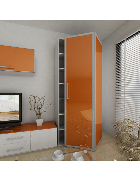 SISTEMA PLEGABLE 2 PUERTAS PLEGADUCPRO