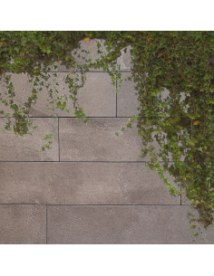 GRES PORCELANICO EVOLUTION GRAY 20X90