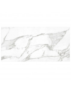 CERAMICA MURO BRILLO CARRARA WHITE 30X60 2