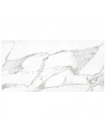 CERAMICA MURO BRILLO CARRARA WHITE 30X60