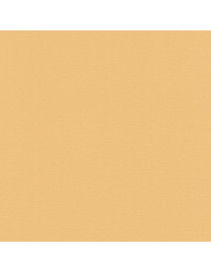 PAPEL I. PHOENIX A 48904 ROLL-05.30