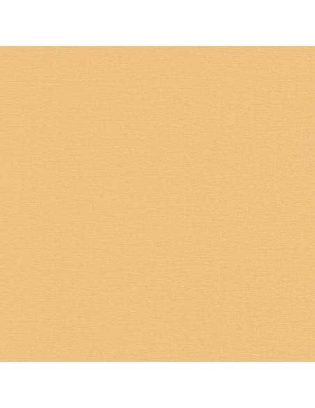 PAPEL I. PHOENIX A 48904