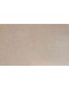 CERAMICA PISO MATE ABSOLUT BEIGE RECTIFICADO 31.3X55.3