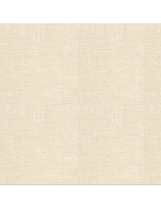 PAPEL V. AZAPA ARENA 240 GRS/BOB-31,8