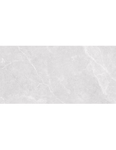 GRES PORCELANICO OGLIO SILVER 30X60