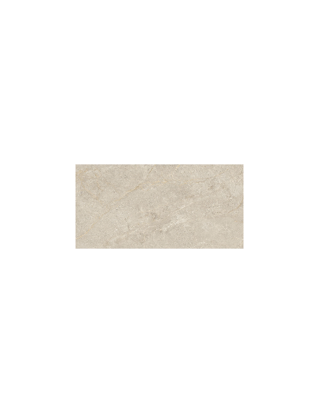 PORCELANATO MATE WONDER DUNES 60X120