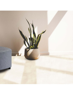 CERAMICA PISO MATE CEMENTO BEIGE PLUS 60X60