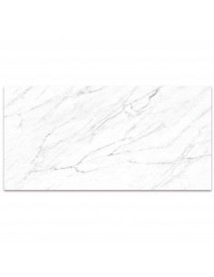 PORCELANATO MÁRMOL MATE CARRARA 60X120 2
