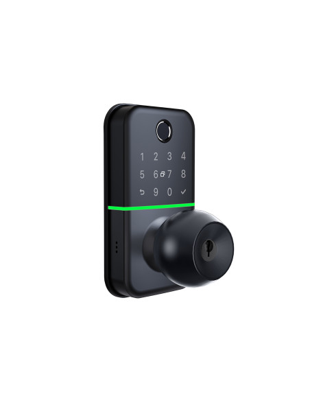 CERRADURA DIGITAL H17B-TB BALL