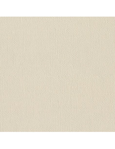 PAPEL V. ARPILLERA GRIS 240 GRS 2