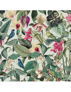 PAPEL I. MONA 81684 2