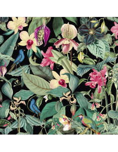 PAPEL I. MONA 81685 2