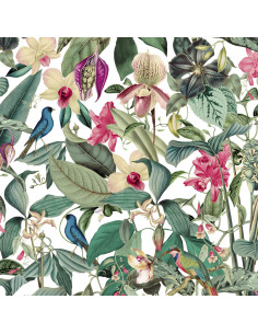 PAPEL I. MONA 81686 2