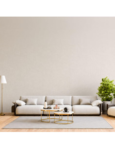 PAPEL V. AZAPA GRIS  240 GRS