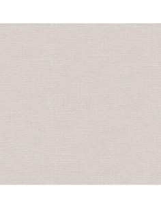 PAPEL V. AZAPA GRIS  240 GRS 2
