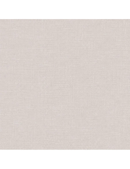 PAPEL V. AZAPA GRIS  240 GRS