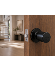 CERRADURA TUBULAR POMO 255 ACCESO